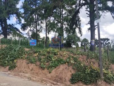 Terreno para Venda, em Ponta Grossa, bairro Ronda