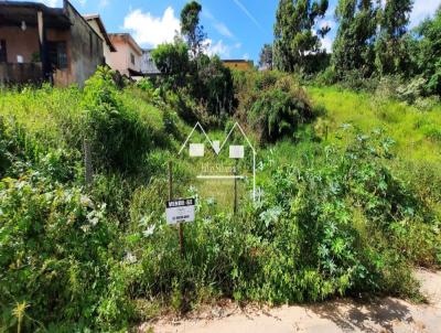Lote para Venda, em Oliveira, bairro Ivan Junqueira