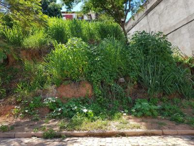 Terreno para Venda, em Leopoldina, bairro Vila Esteves