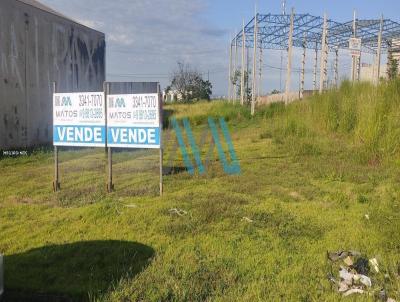 Terreno Comercial para Venda, em Londrina, bairro Jardim Tropical