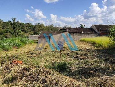 Terreno Comercial para Venda, em Londrina, bairro Jardim Marissol