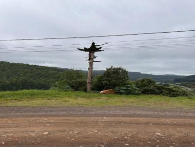 Terreno para Venda, em Concrdia, bairro Jardim Sul