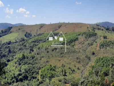 Fazenda para Venda, em So Tiago, bairro Zona Rural