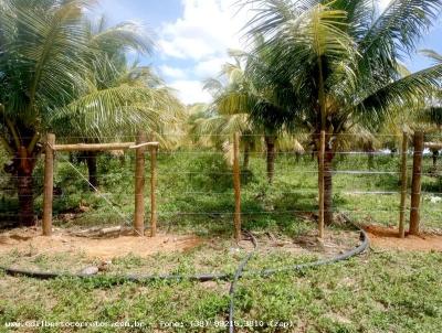 Lote para Venda, em Porteirinha, bairro rea Rural - Serrado