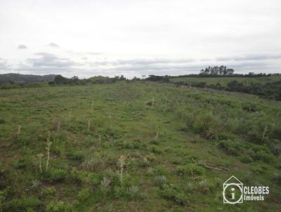 Stio / Chcara para Venda, em Encruzilhada do Sul, bairro Interior