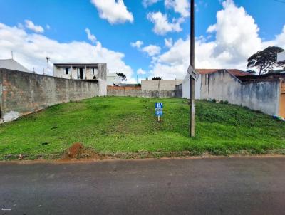 Terreno para Venda, em Guarapuava, bairro Mirante da Serra, Boqueiro