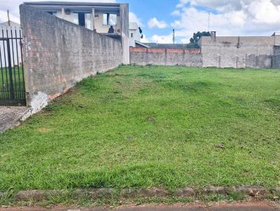 Terreno para Venda, em Guarapuava, bairro Mirante da Serra, Boqueiro