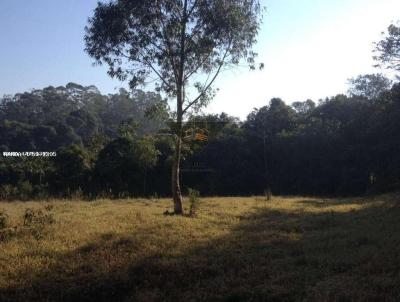 Terreno para Locao, em Suzano, bairro Palmeiras