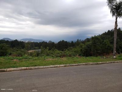 Terreno para Venda, em Unio da Vitria, bairro muzzolon