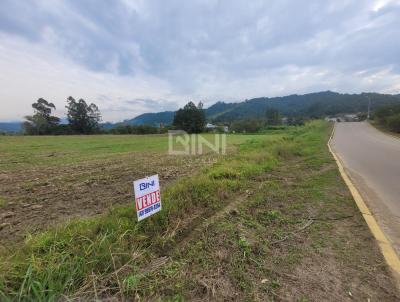 Terreno para Venda, em Presidente Getlio, bairro Primavera