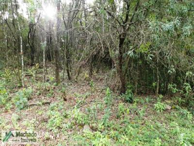 rea para Venda, em Itaara, bairro Rural