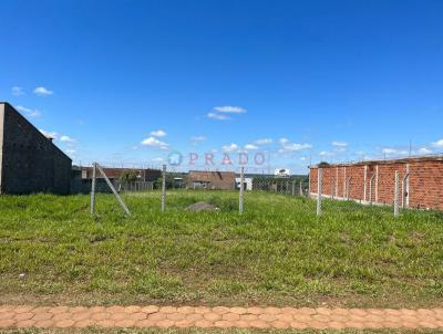 Terreno em Condomnio para Venda, em Martinpolis, bairro CONDOMNIO RESIDENCIAL PORTAL DAS PALMEIRAS