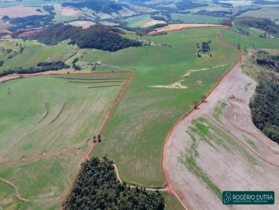 Fazenda para Venda, em Londrina, bairro Irer