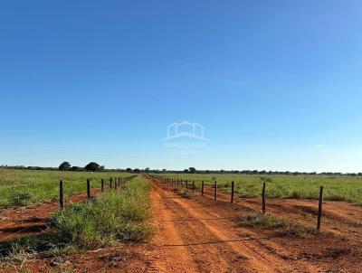 Fazenda para Venda, em Janaba, bairro ZONA RURAL