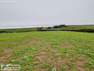 Chcara para Venda, em Tupanciret, bairro Rural