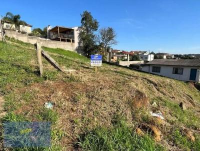 Lote para Venda, em Curitibanos, bairro So Luiz