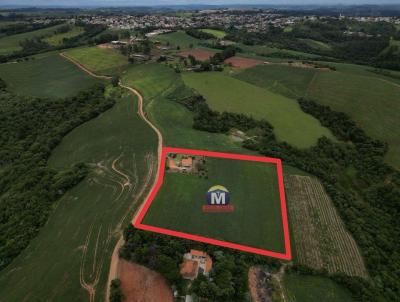 rea Rural para Venda, em Arapoti, bairro Arapoti, 3 dormitrios, 1 banheiro