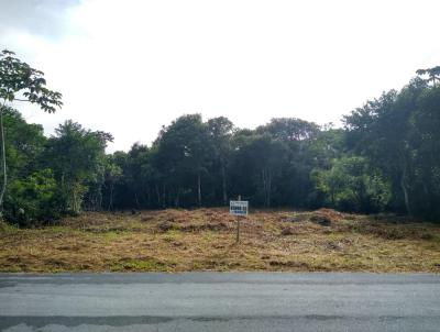 Terreno para Venda, em Barra Velha, bairro QUINTA DOS AORIANOS