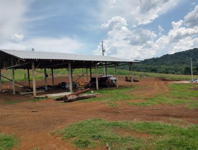 Fazenda para Venda, em Palmas, bairro Zona Rural