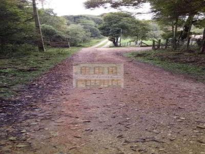 Chcara para Venda, em Quitandinha, bairro Lagoa Verde, 1 dormitrio, 1 banheiro