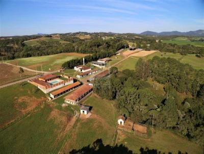 Haras para Venda, em So Jos dos Pinhais, bairro Colnia Murici, 4 dormitrios, 5 banheiros, 2 sutes, 10 vagas