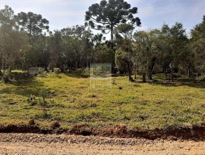 Terreno para Venda, em So Jos dos Pinhais, bairro Roseira de So Sebastio