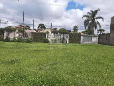 Terreno para Venda, em So Jos dos Pinhais, bairro Borda do Campo, 2 dormitrios, 1 banheiro