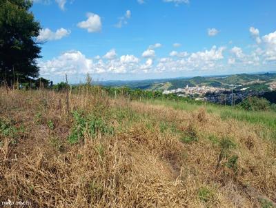 Terreno para Venda, em Machado, bairro Residencial Nanetti