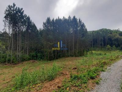 rea Rural para Venda, em Garibaldi, bairro Linha Araripe