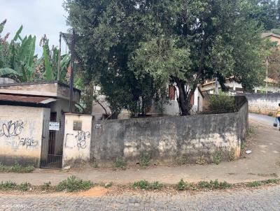 Terreno para Venda, em Cataguases, bairro Paraso