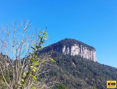 Stio / Chcara para Venda, em Nova Petrpolis, bairro Linha Riachuelo