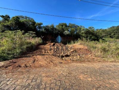 Terreno para Venda, em Concrdia, bairro Guilherme Reich