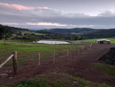 rea Rural para Venda, em Jardinpolis, bairro Interior