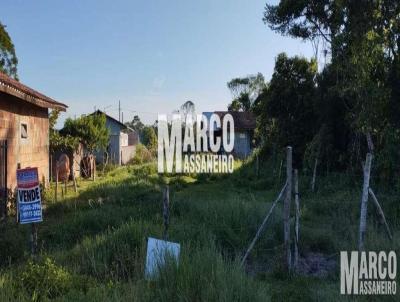 Terreno para Venda, em Balnerio Barra do Sul, bairro Salinas