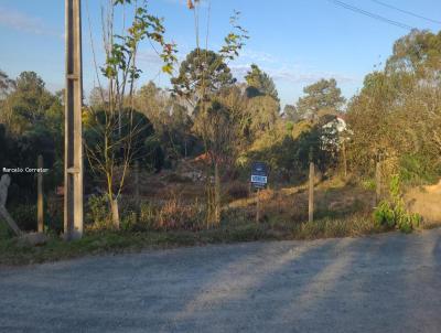 Terreno para Venda, em Pin, bairro trigolandia