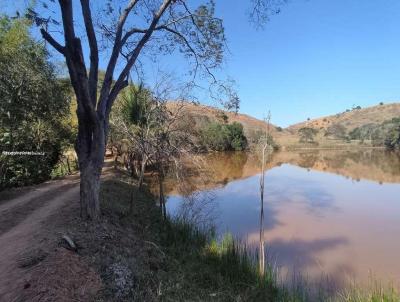 Fazenda para Venda, em Periquito, bairro Zona Rural