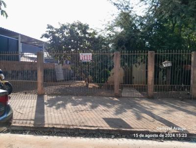 imagem-miniatura