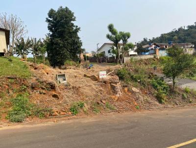 Terreno para Venda, em Quilombo, bairro asehaq