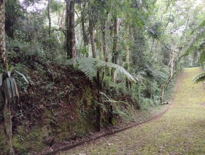 Terreno para Venda, em Terespolis, bairro Quebra Frascos