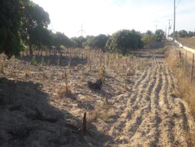 Terreno para Venda, em Lagoa Nova, bairro Zona Rural