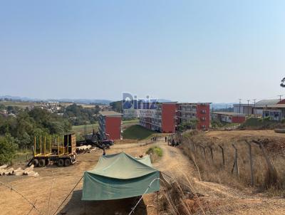 Terreno para Venda, em Ortigueira, bairro Vila Nova