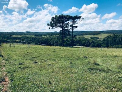 Stio para Venda, em Taquara, bairro Fazenda Fialho