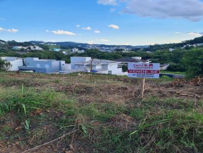 Terreno para Venda, em Concrdia, bairro Salete