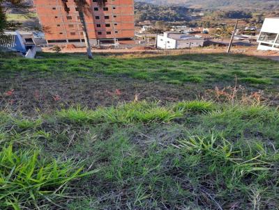 Terreno para Venda, em Concrdia, bairro Guilherme Reich