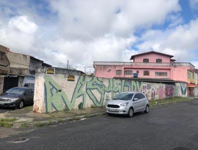 Terreno para Venda, em Itaquaquecetuba, bairro Jardim gonalves