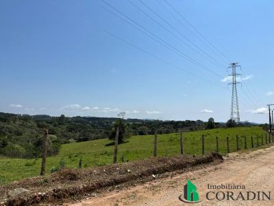 rea Rural para Venda, em Colombo, bairro Roseira