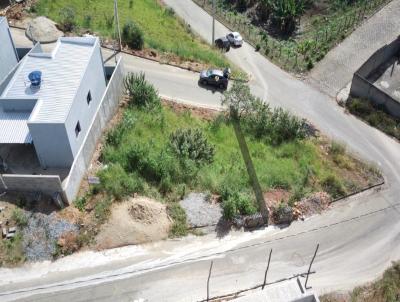 Lote para Venda, em Santo Antnio do Amparo, bairro Piquete