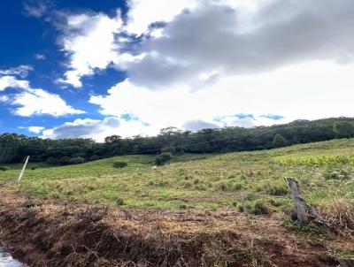 Terreno para Venda, em Concrdia, bairro Kennedy