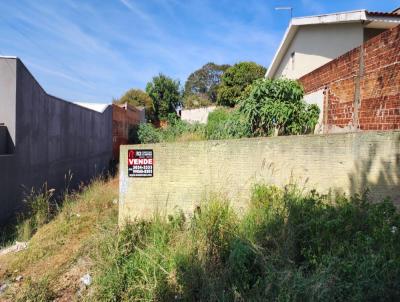 Terreno para Venda, em Apucarana, bairro Jardim Amrica