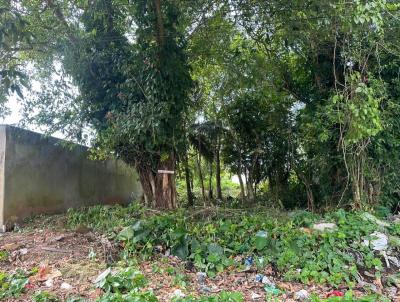 Terreno para Venda, em Itanham, bairro Luiza Mar Mirim